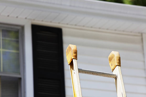 Affordable Siding Repair and Maintenance Services in Maitland, FL